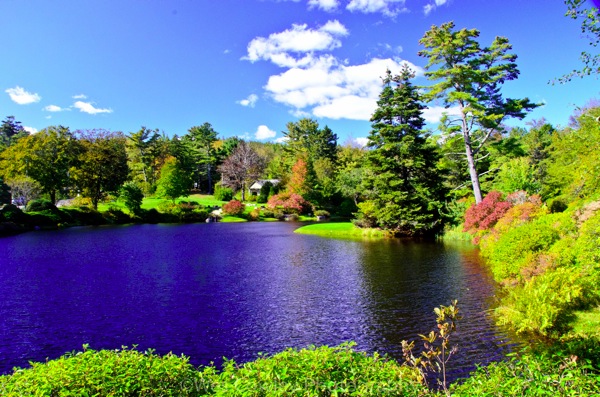 Astague azalea garden