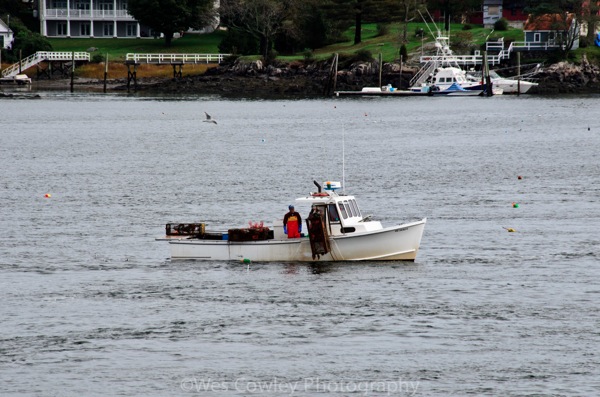 Lobster trap in river