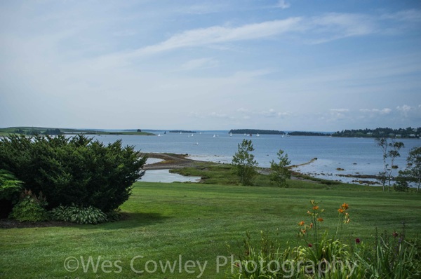 View from Chester Golf Club