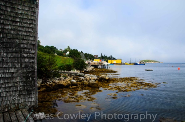 Cove and yellow bldg