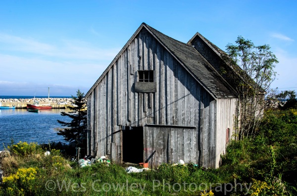 Derelict bldg