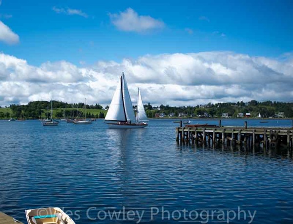 Sailboat and pier