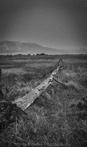 Pointing log