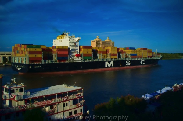 Container ship on savannah paint