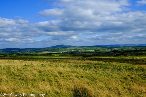 A view across the fields from the Causeway walk