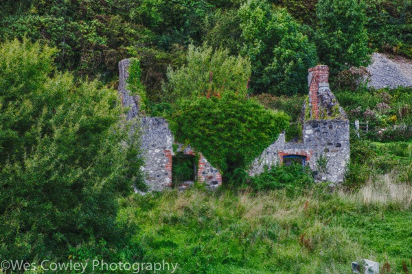 Abandoned home near Cranny Falls