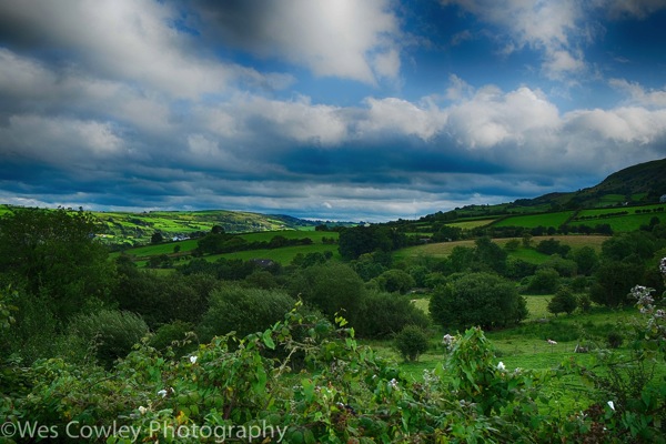 Antrim co fields