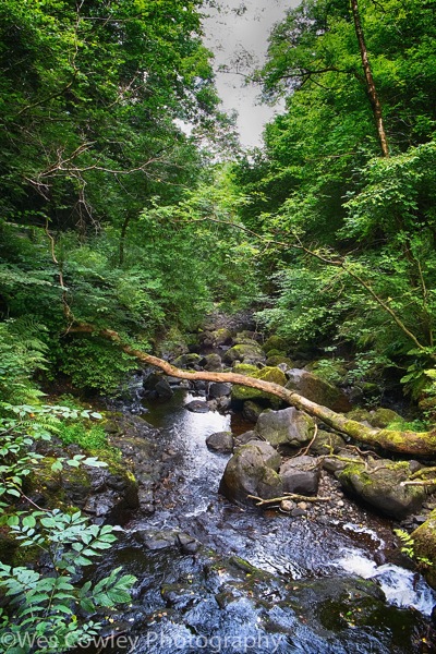 Cranny falls stream