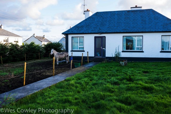 Ardara horse and house