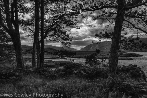 Glenveagh 2 hdr bw 2